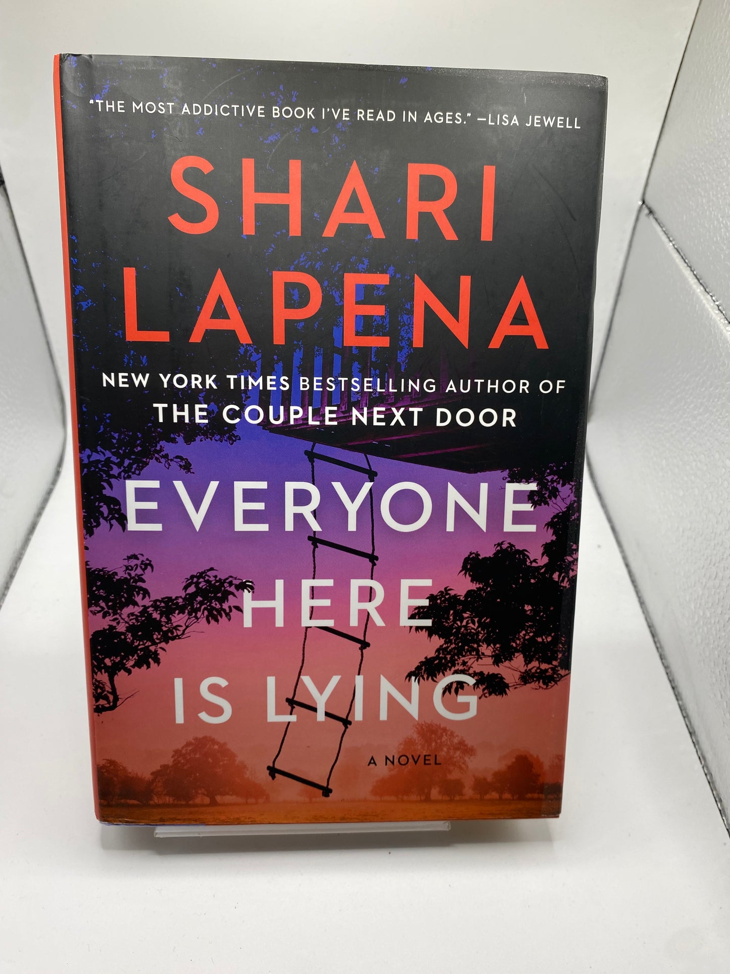 Everyone Here is Lying book