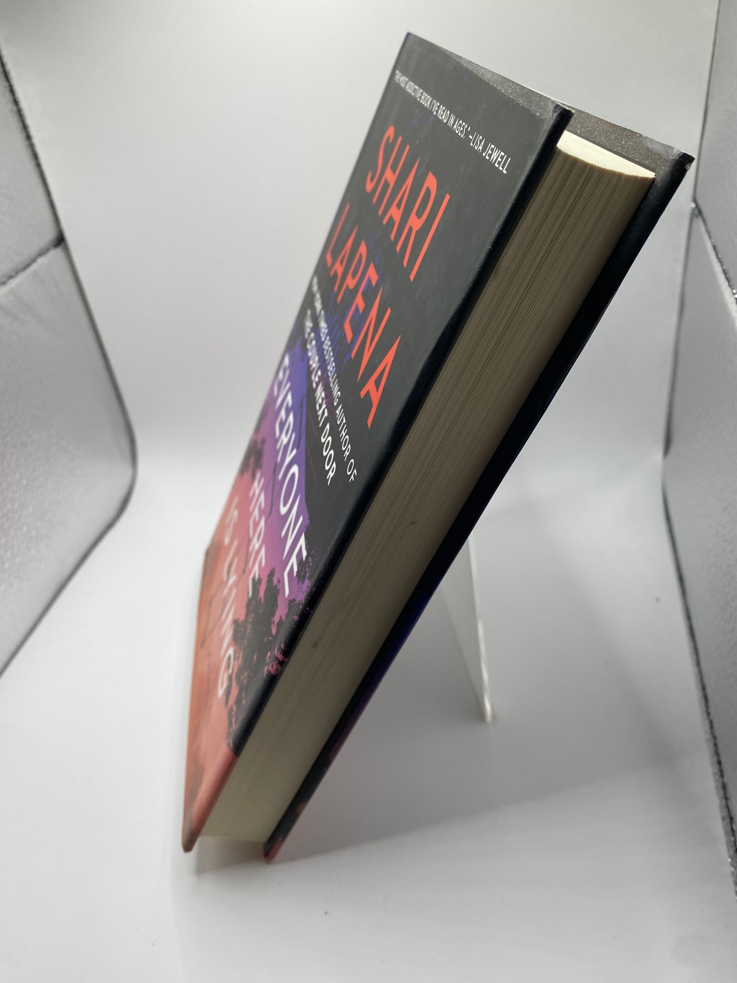 Everyone Here is Lying book