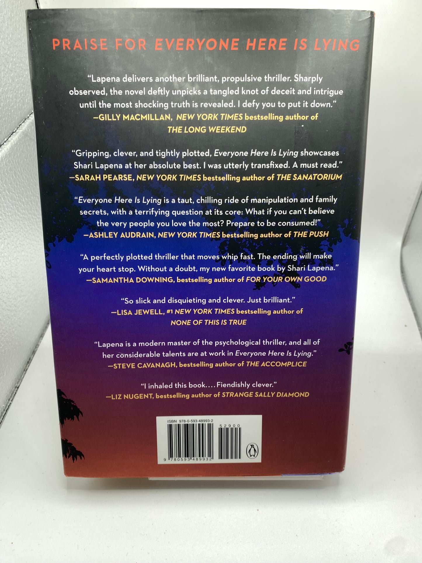 Everyone Here is Lying book