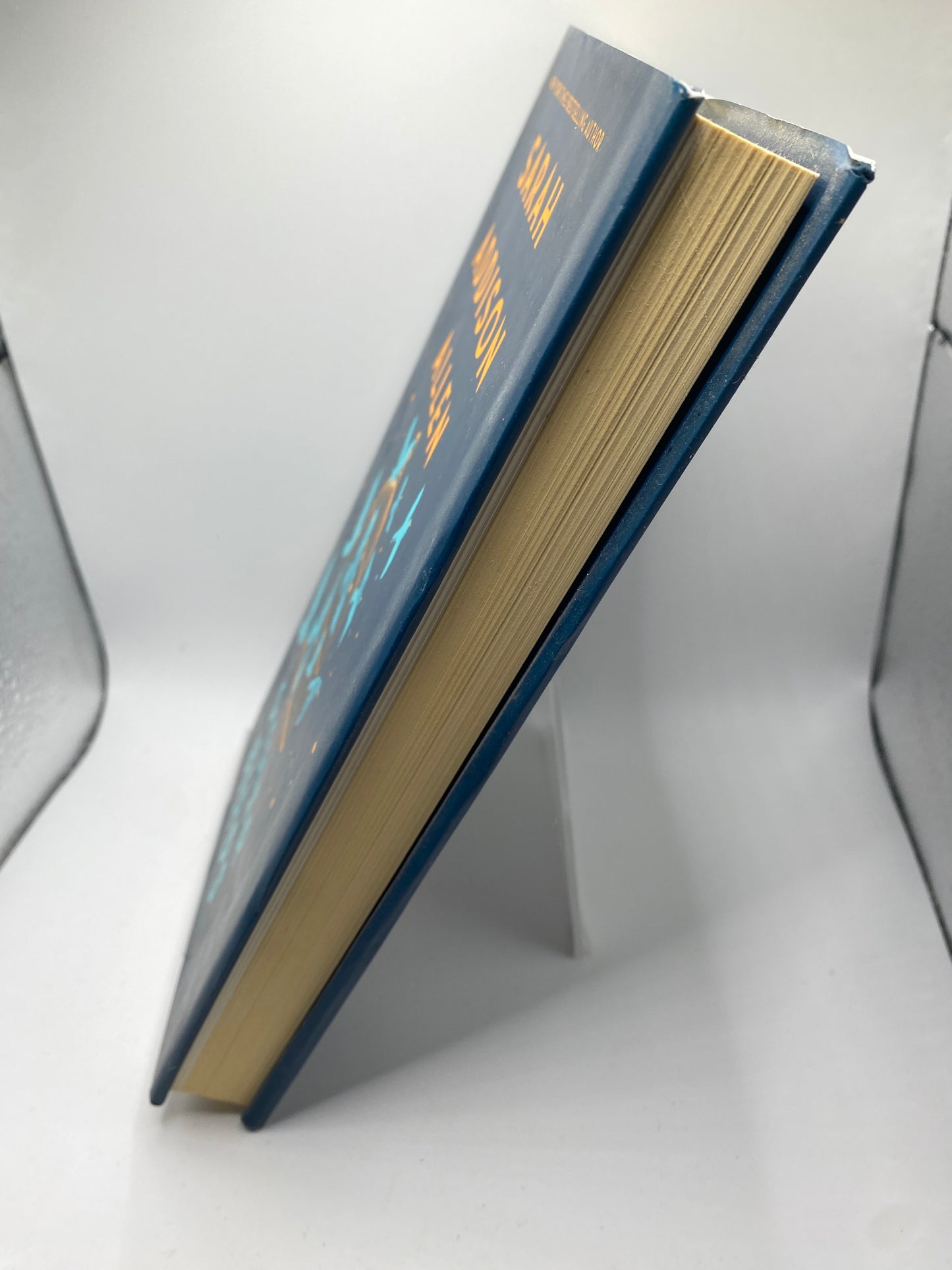 Other Birds book