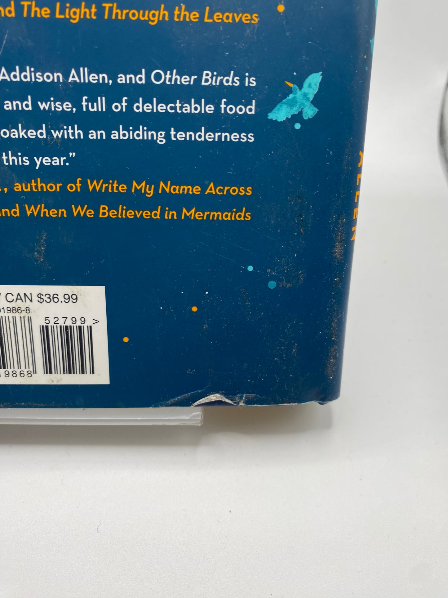 Other Birds book