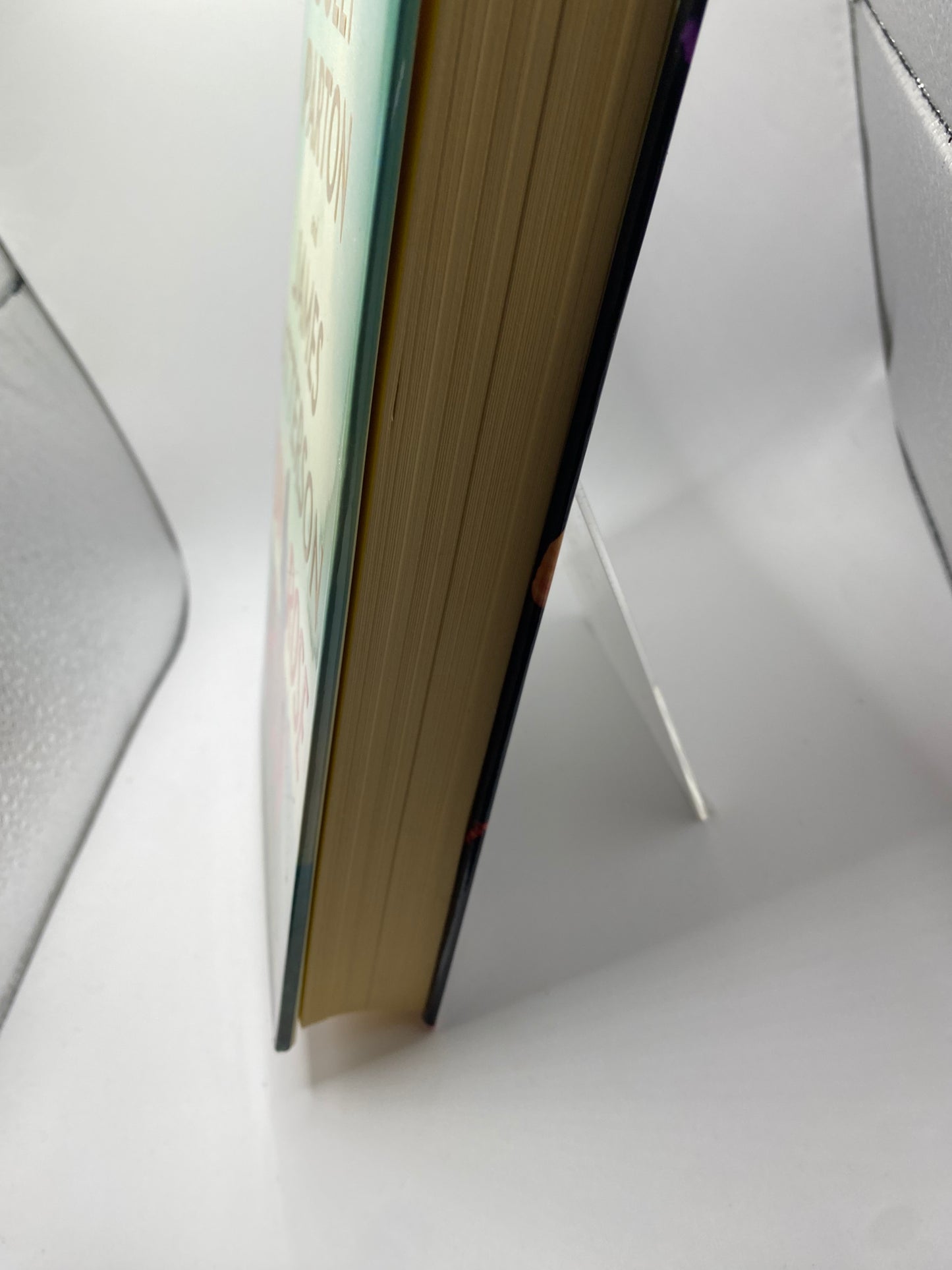 Run Rose Run book