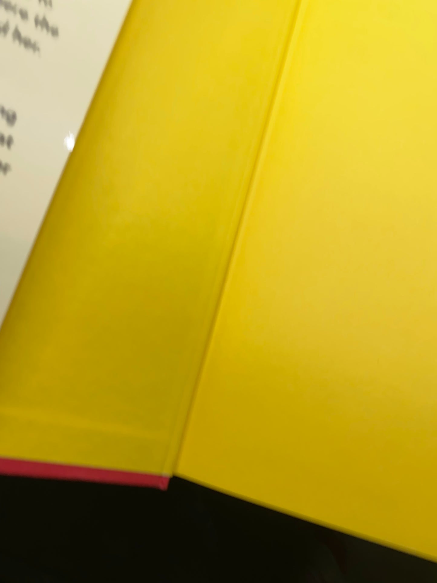 Run Rose Run book