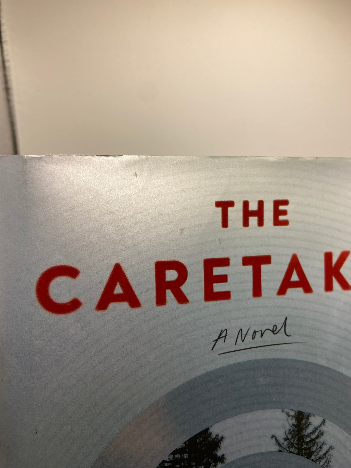 The Caretaker