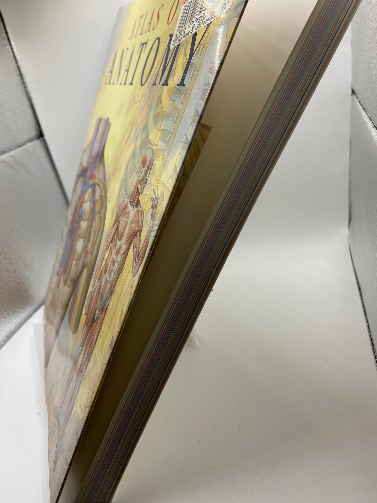 Atlas of Anatomy