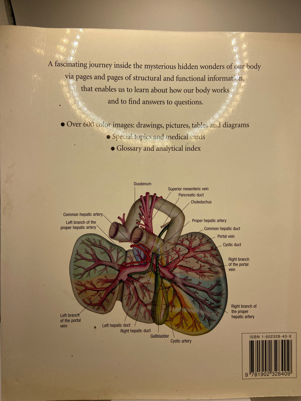Atlas of Anatomy