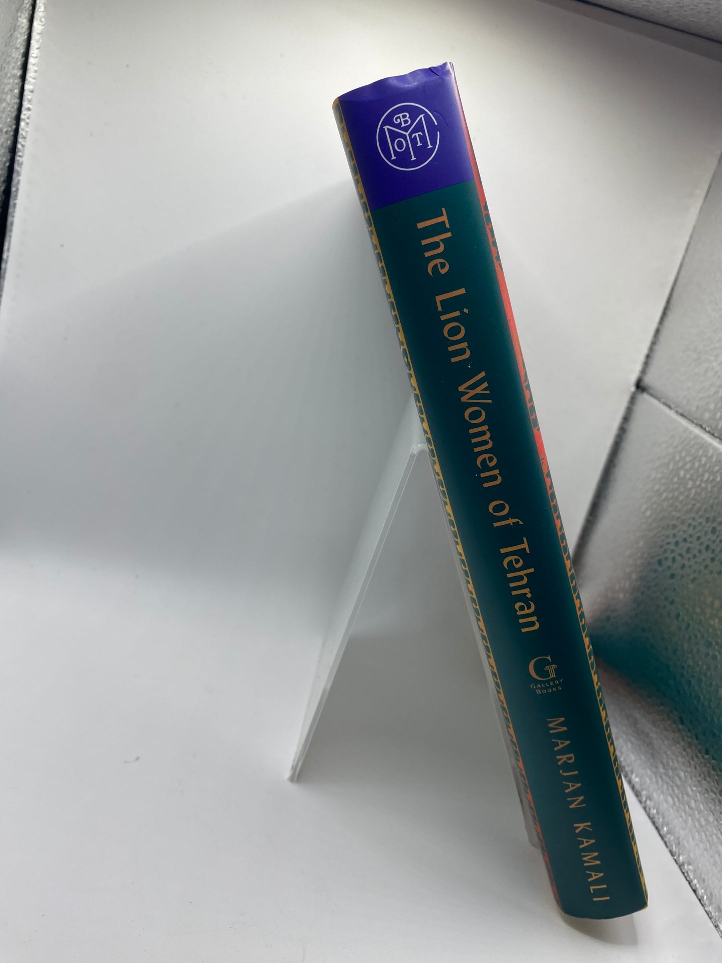 The Lion Women of Tehran book