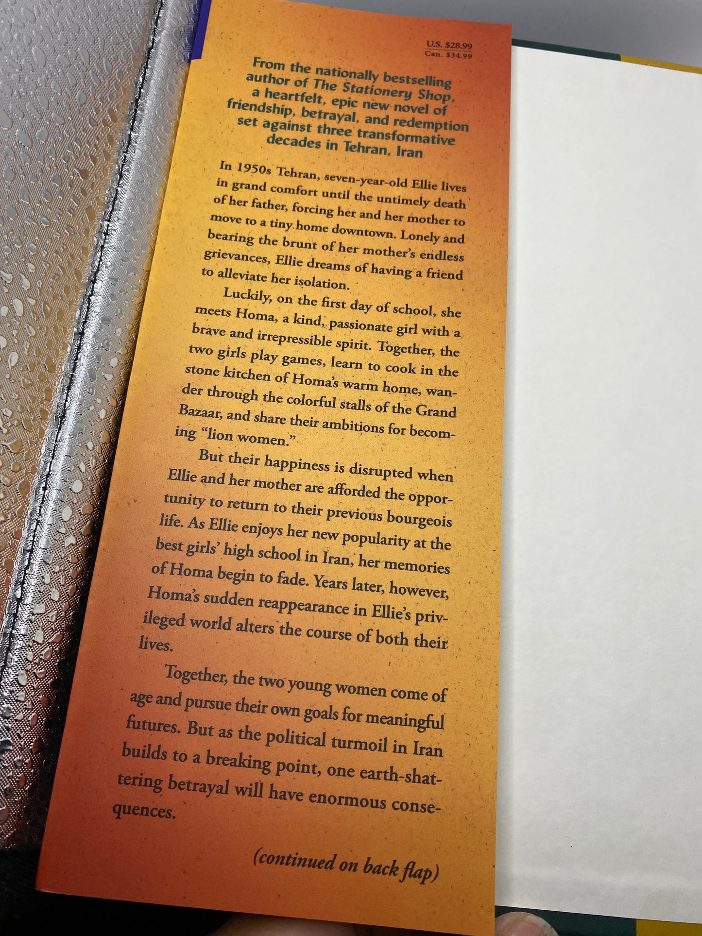 The Lion Women of Tehran book