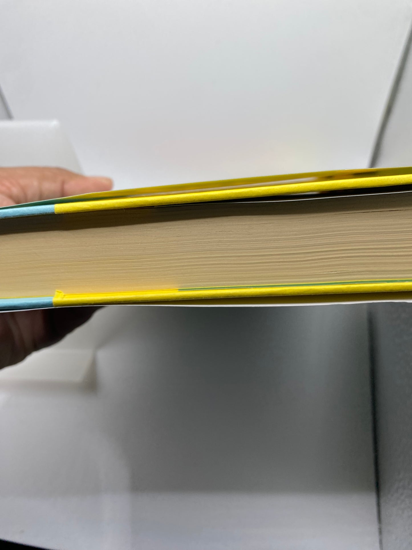 The Heartbreak Hotel book
