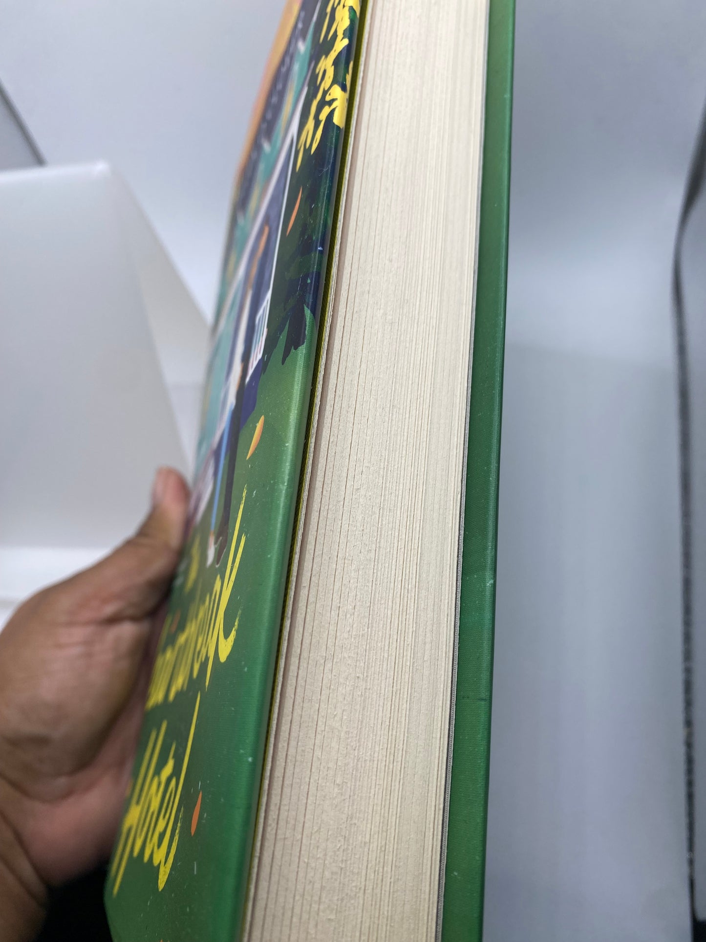 The Heartbreak Hotel book
