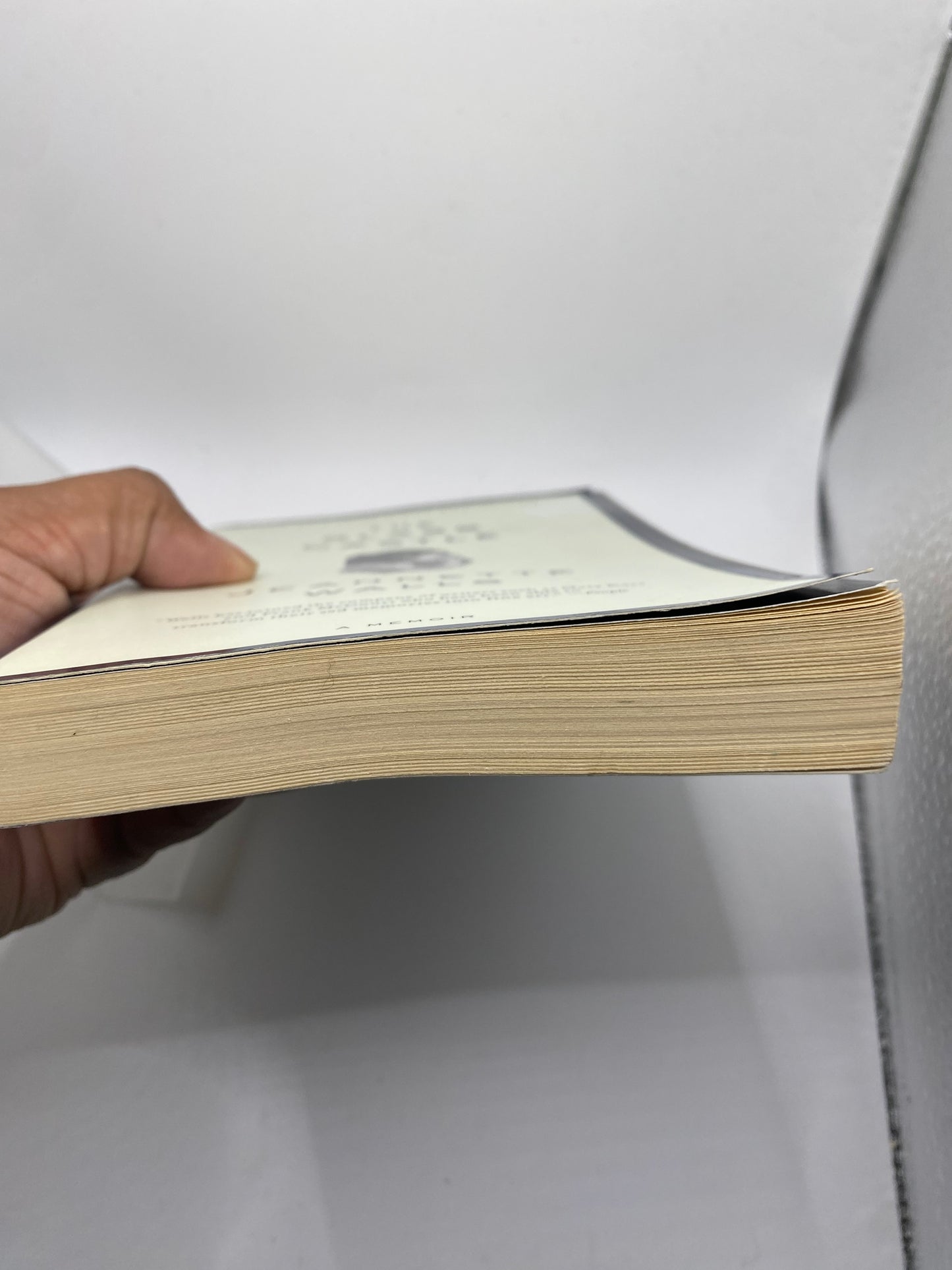 The Glass Castle book