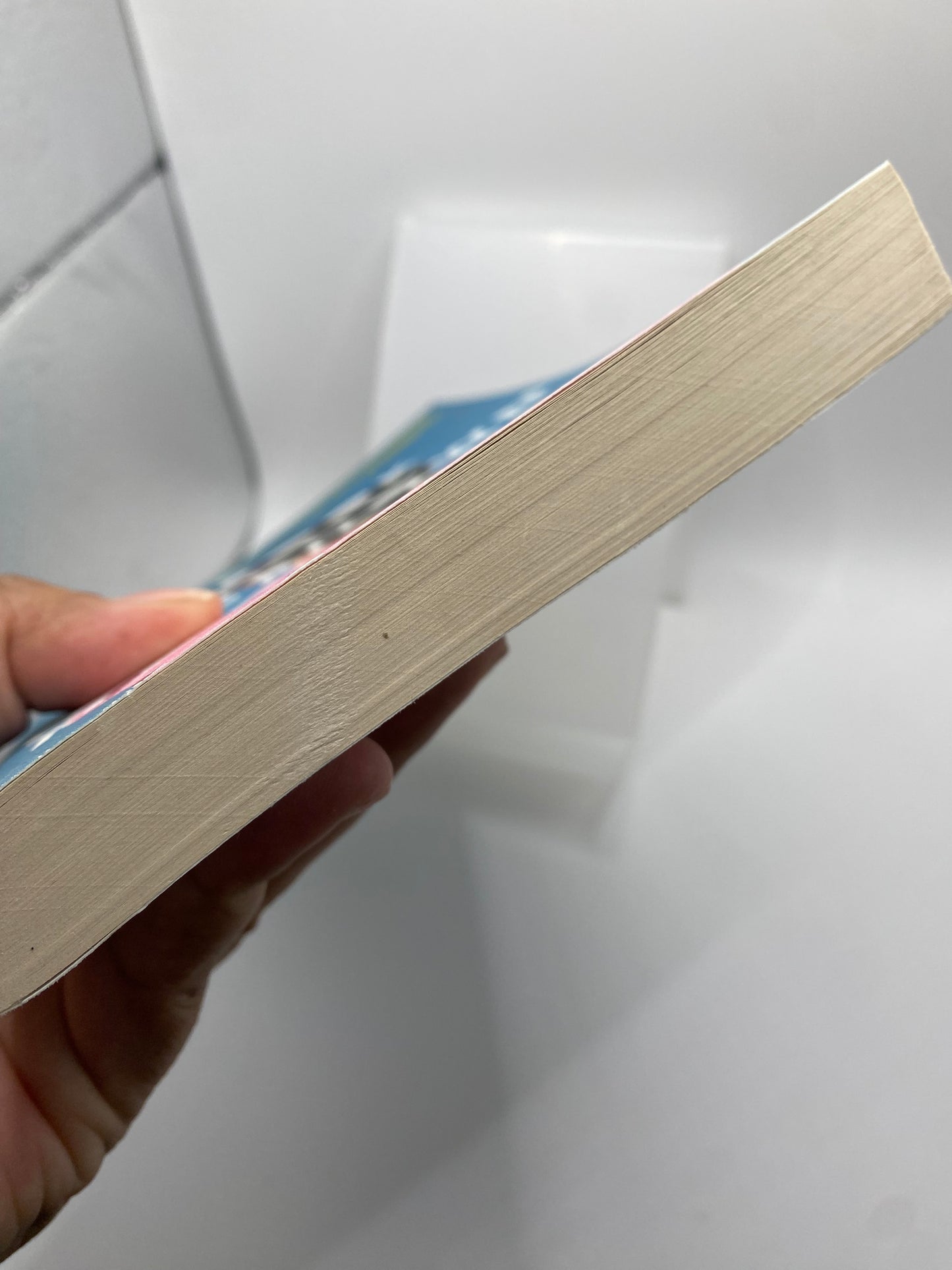 The book of unknown Americans