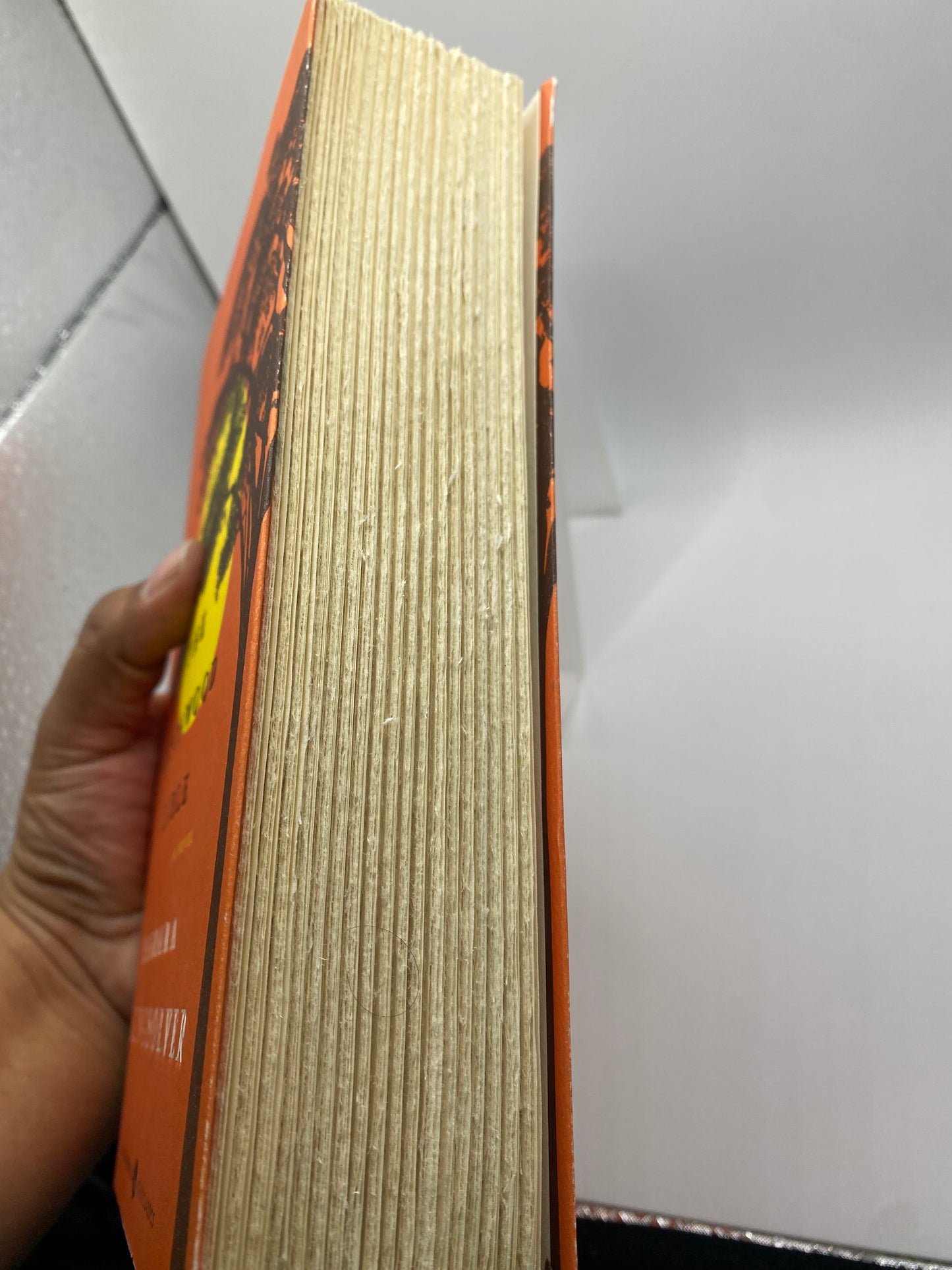 The Poisonwood Bible