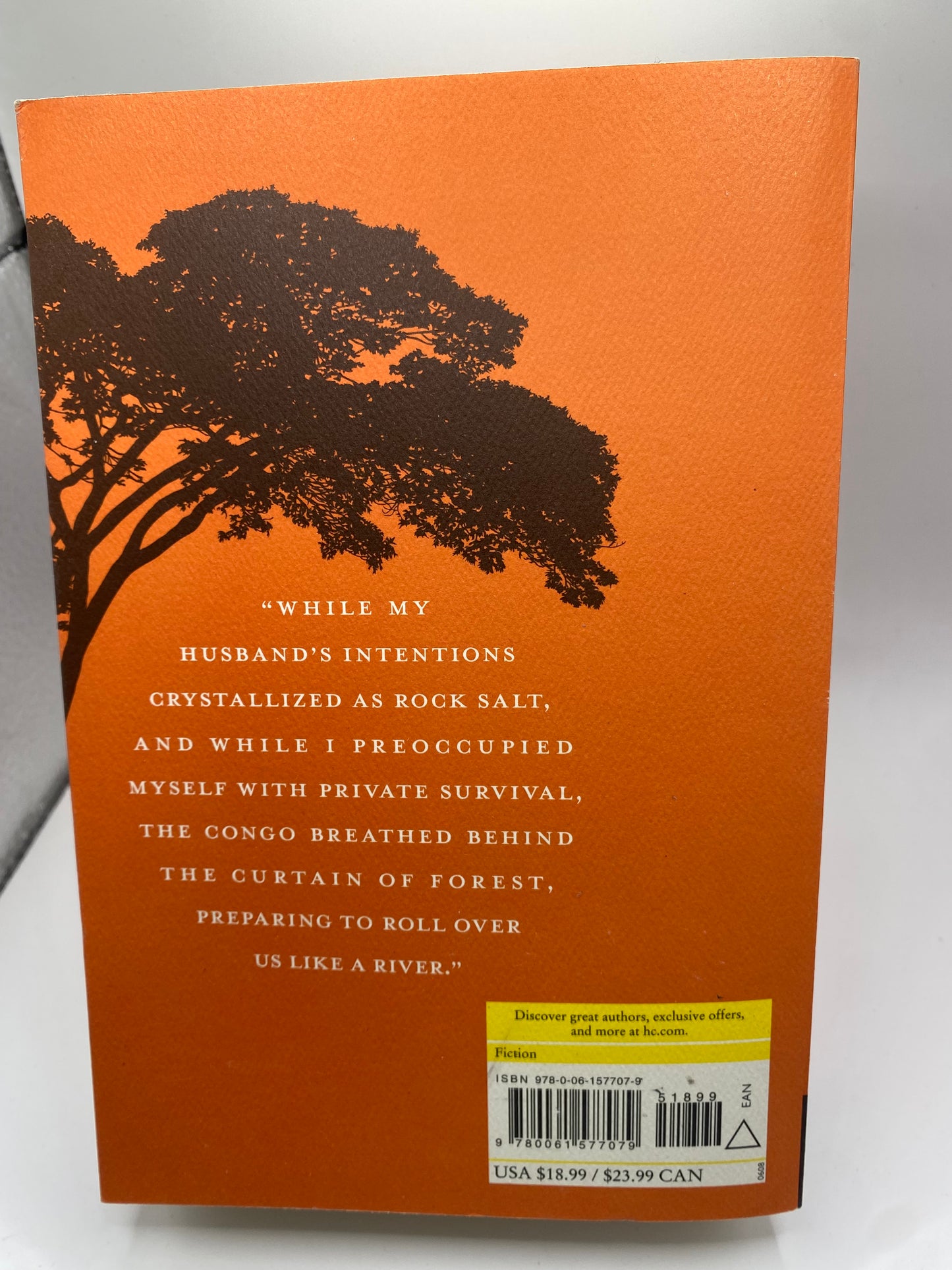 The Poisonwood Bible