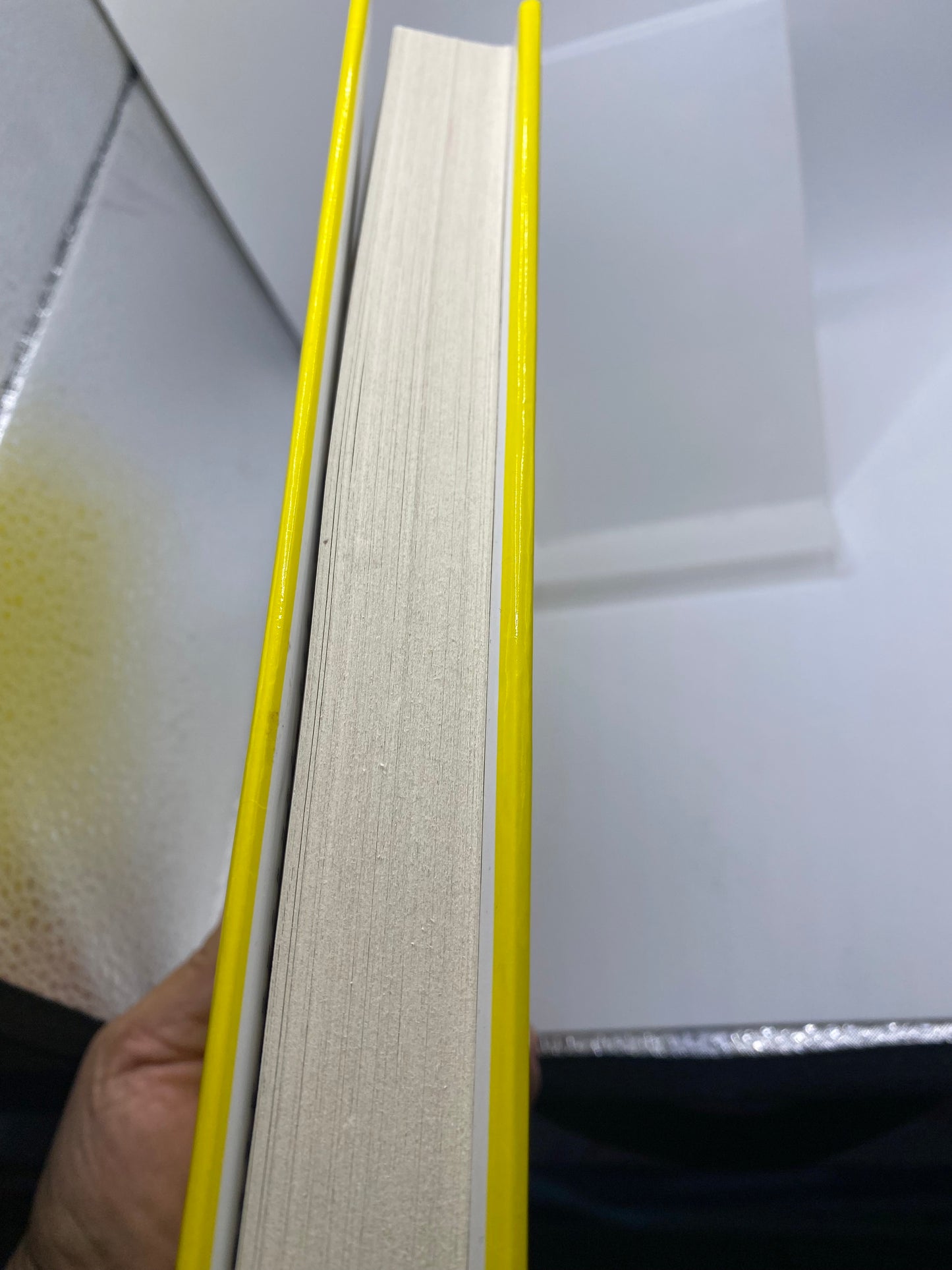The Maid’s Secret book
