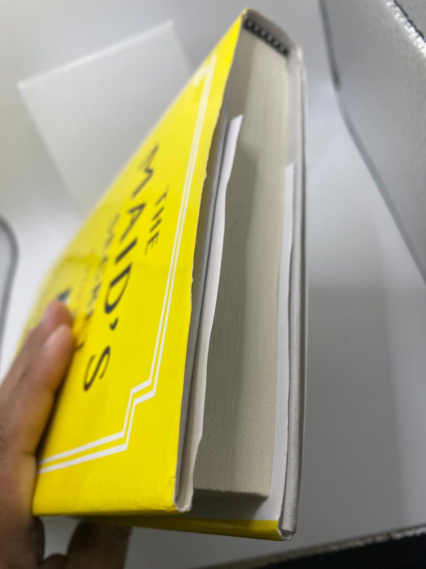 The Maid’s Secret book