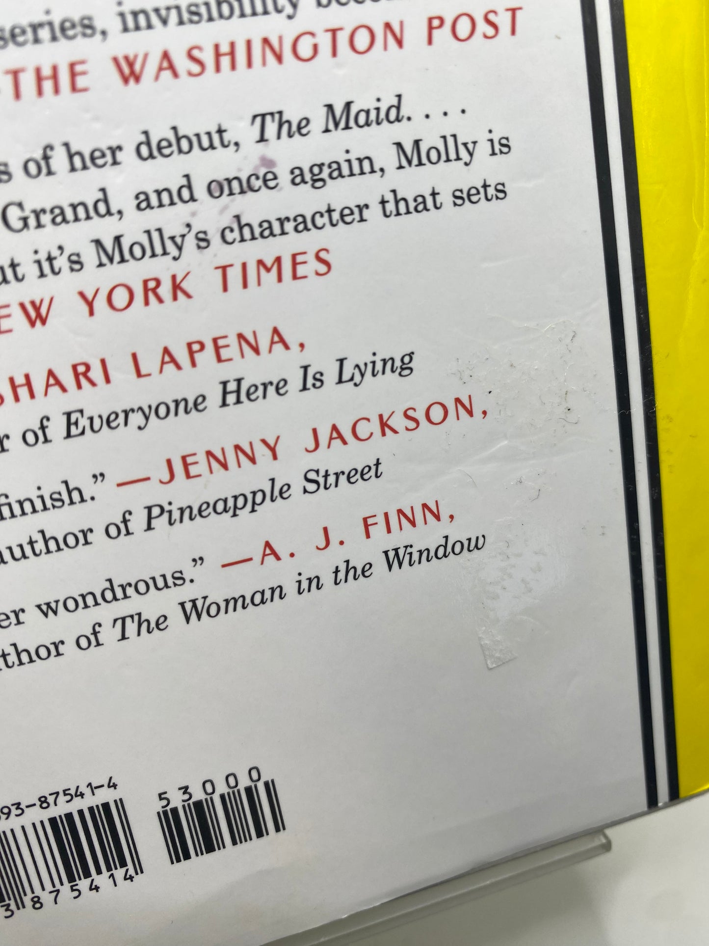 The Maid’s Secret book