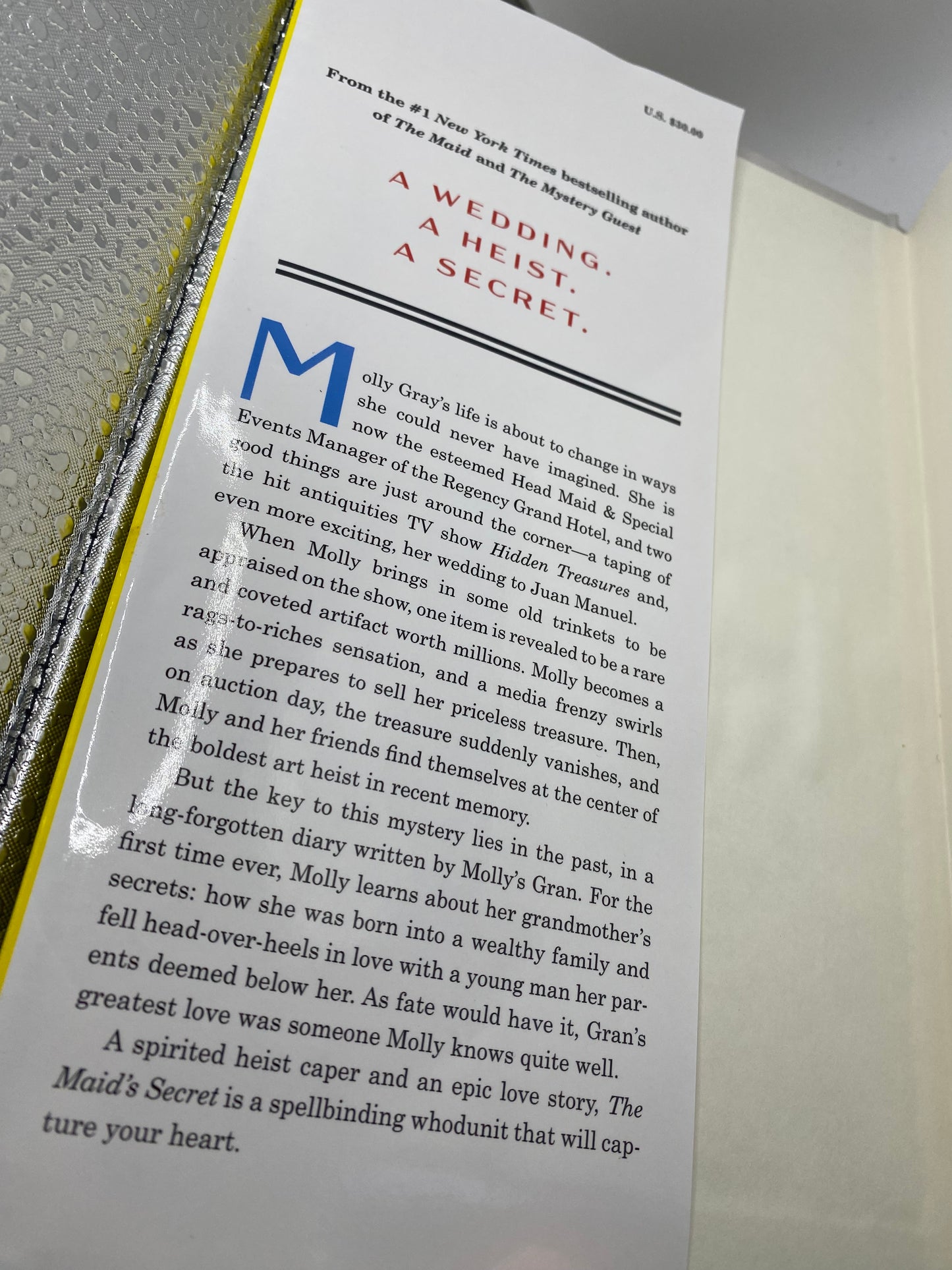 The Maid’s Secret book