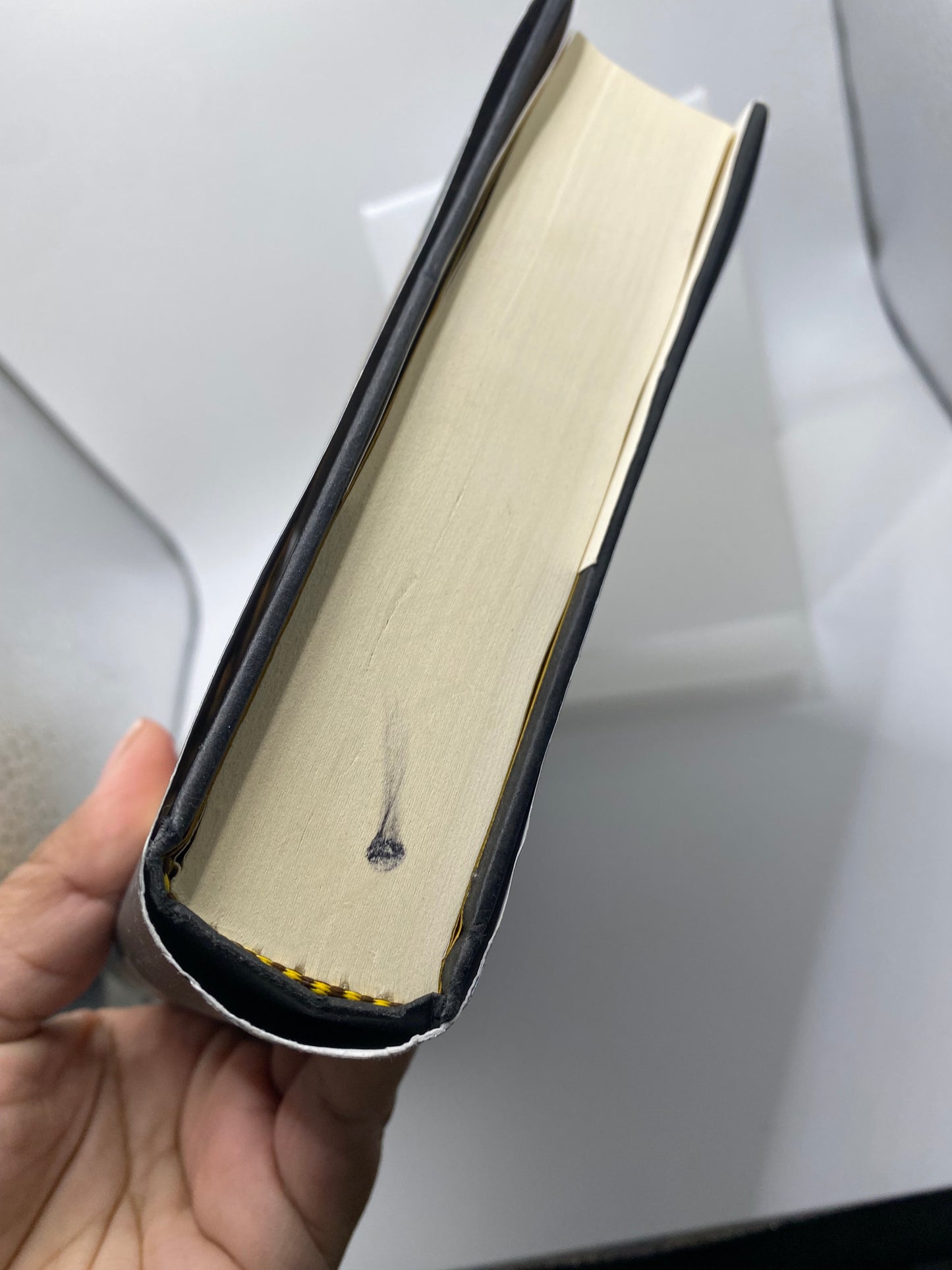 Kingdom of Bones book