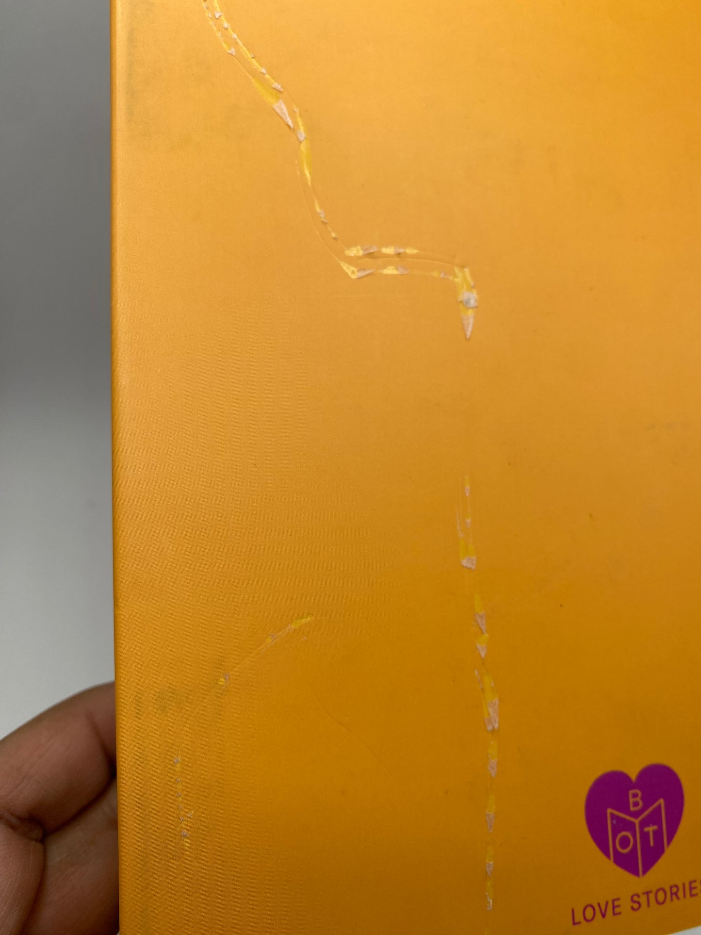 Love, Theoretically book